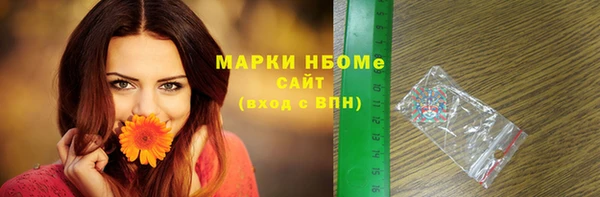 эйфоретик Алзамай