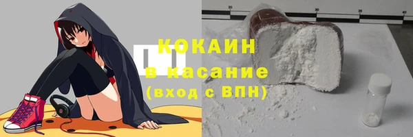 твердый Алексеевка