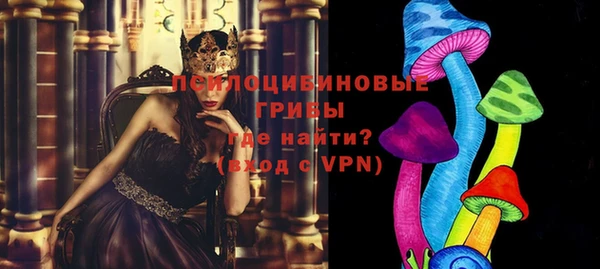 эйфоретик Алзамай