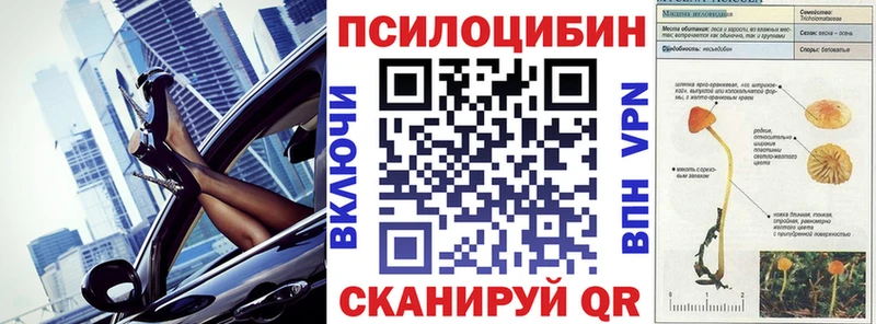 маркетплейс Telegram  купить наркоту  Чадан  Галлюциногенные грибы MAGIC MUSHROOMS 